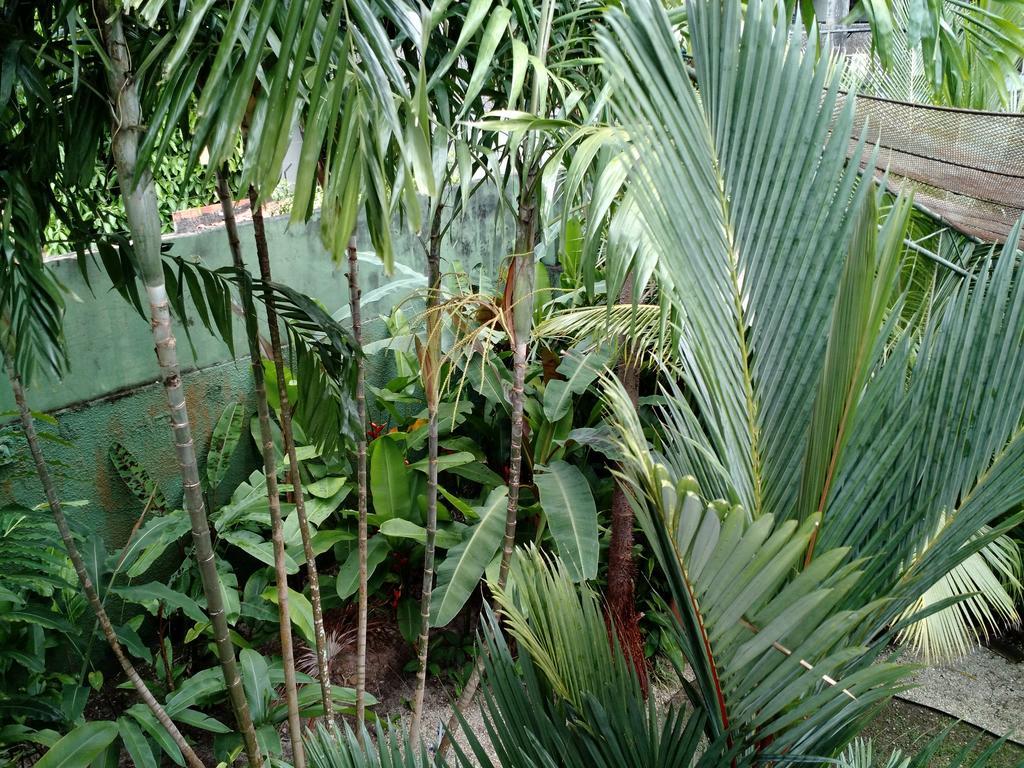 Ecopousada Miriti Belem  Ngoại thất bức ảnh
